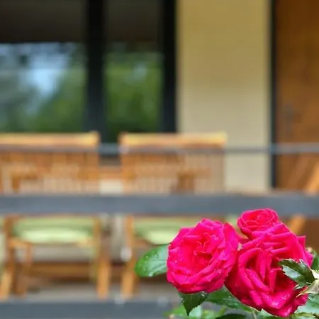 Spreewald-hideaway, Bungalow Mit Pool Und Kamin Holiday home *