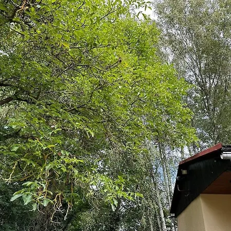 Spreewald-hideaway, Bungalow Mit Pool Und Kamin Holiday home Luebbenau