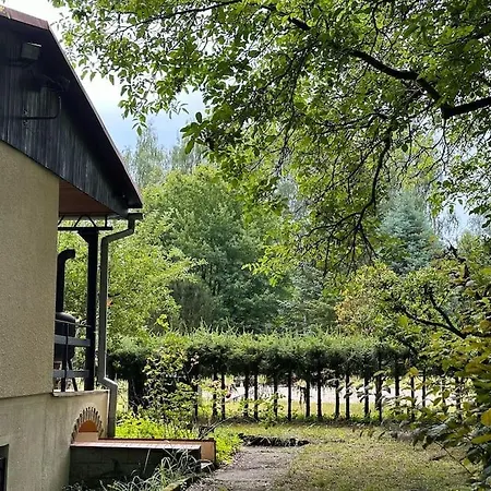 Spreewald-hideaway, Bungalow Mit Pool Und Kamin *